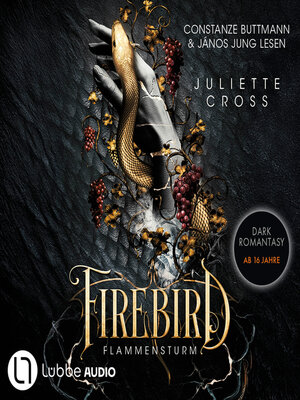 cover image of Firebird--Flammensturm, Teil 1 (Ungekürzt)